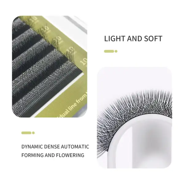W Shaped Eyelash Extension - Image 4